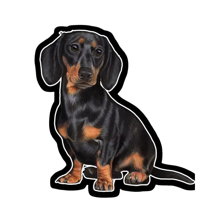 Black Dachshund | Sticker