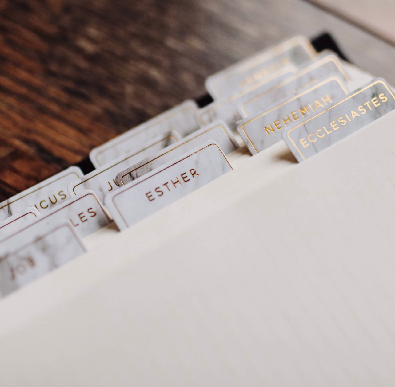 Marble Bible Tabs